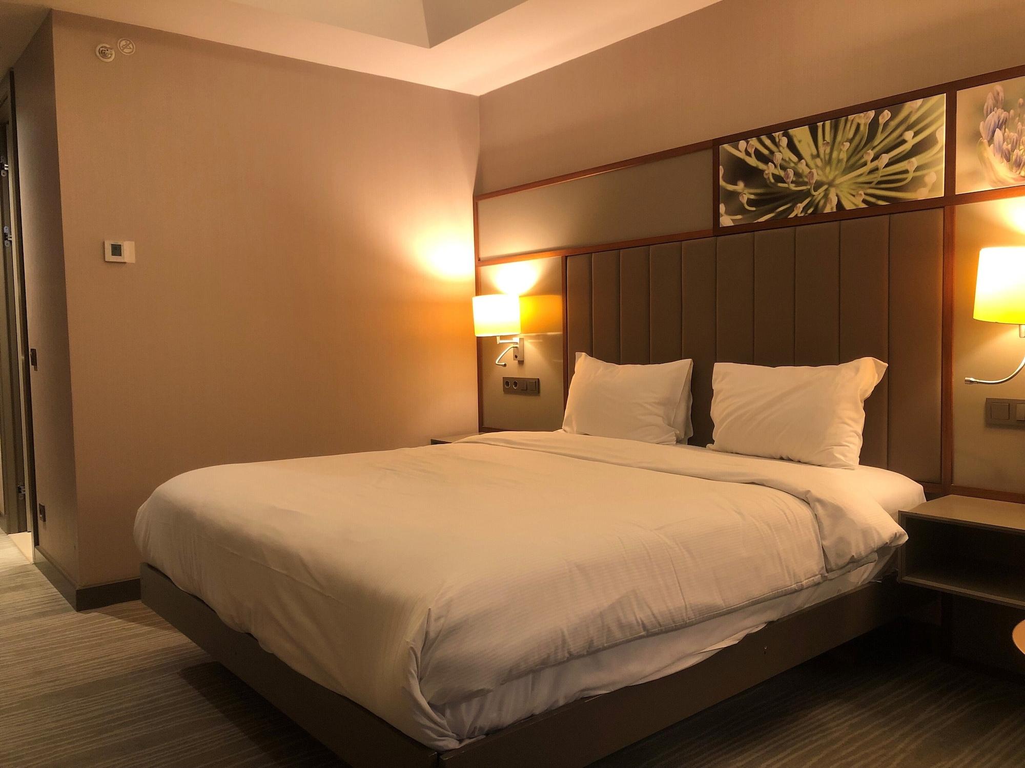 Hilton Garden Atatuerk Airport Hotel Istanboel
